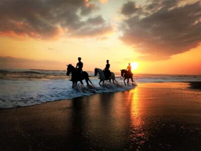 Bali: Horse Riding on Pigstone Beach and in the Rice Fields - Choosing Your Ride Time: Why Timing Matters in Bali