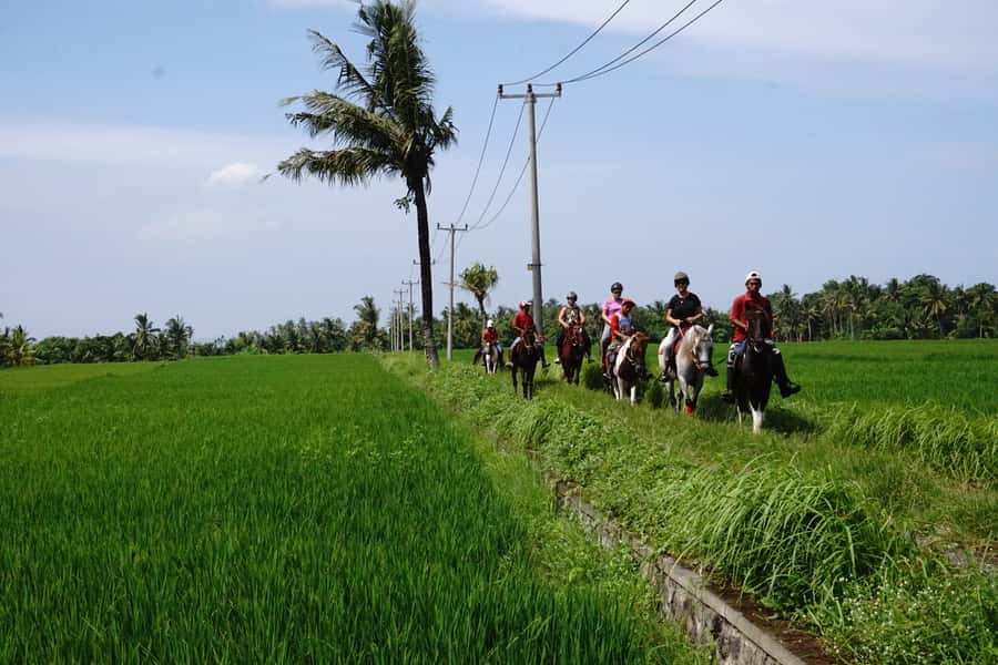 Bali: Horse Riding on Pigstone Beach and in the Rice Fields - Down to Pig Stone Beach: The Beach Scene and the Chance for Faster Riding