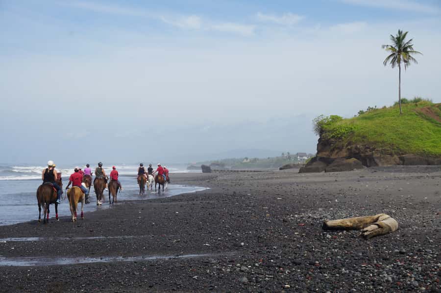 Bali: Horse Riding on Pigstone Beach and in the Rice Fields - How They Match Horses to Your Level (and Why That’s a Big Deal)