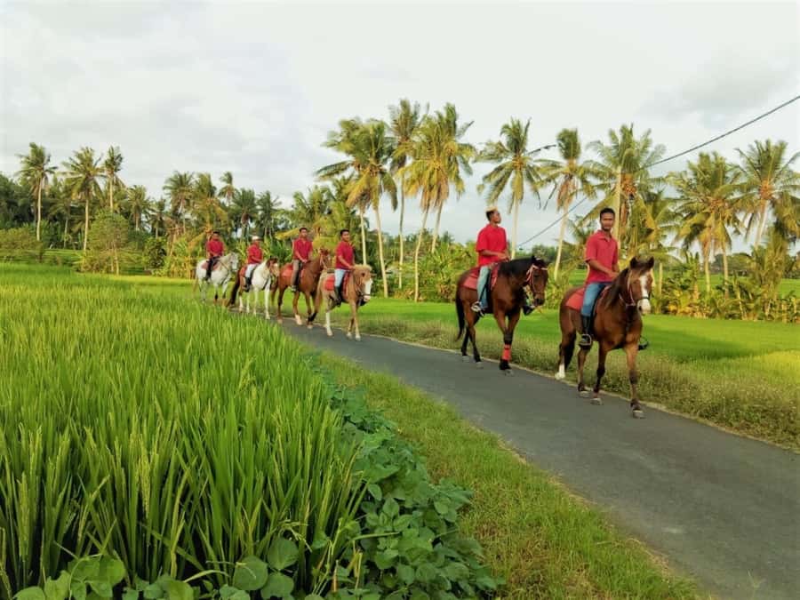 Bali: Horse Riding on Pigstone Beach and in the Rice Fields - Photos, Snacks, Drinks, and the End-of-Ride Glow