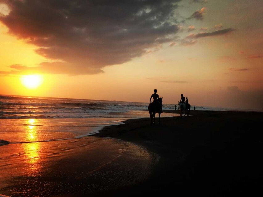 Bali: Horse Riding on Pigstone Beach and in the Rice Fields - Price and Logistics: Is $56 Worth It for Your Bali Plans?
