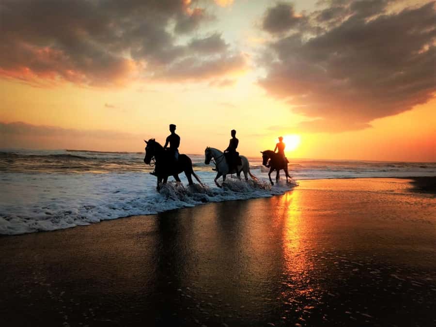 Bali: Horse Riding on Pigstone Beach and in the Rice Fields - Choosing Your Ride Time: Why Timing Matters in Bali