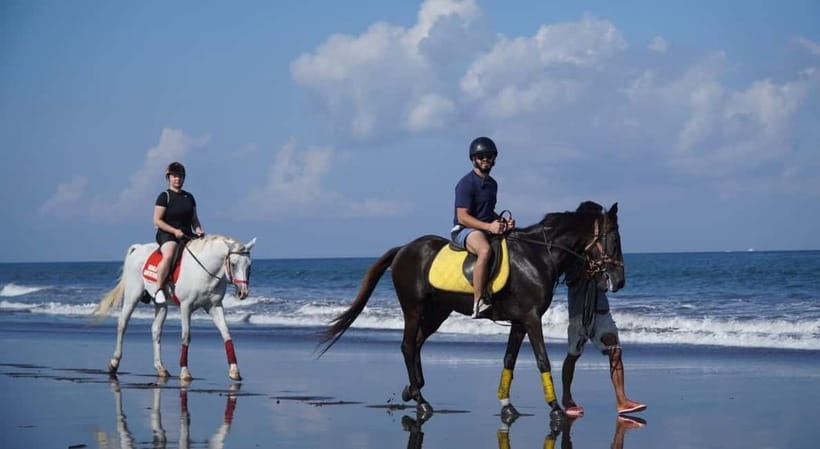 Bali: Horse Riding on the beach experience with free shuttle - Price and Value: Is $44 Worth It?