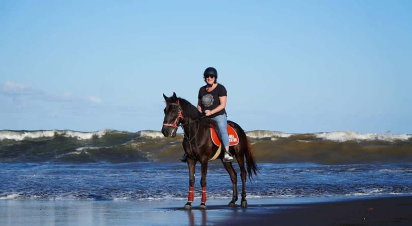 Bali: Horse Riding on the beach experience with free shuttle - Who This Ride Suits Best (And Who Should Skip It)