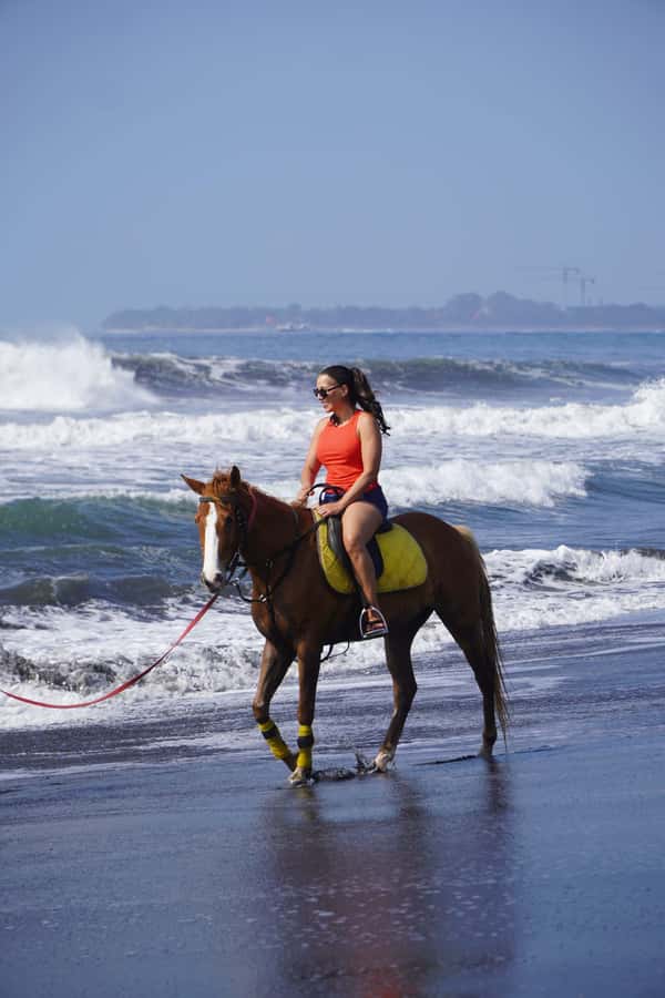 Bali: Horse Riding Sanur Beach Experience with Transport - Key Points I’d Focus On