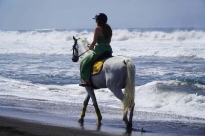 Bali: Horse Riding Sanur Beach Experience with Transport - Horses and Helmets: Safety That Doesn’t Feel Stuffy