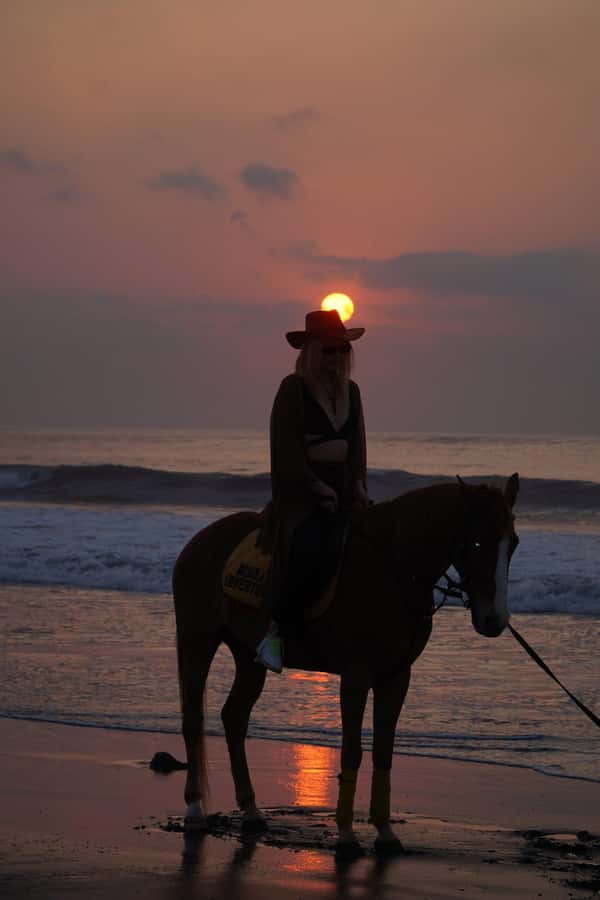 Bali: Horse Riding Sanur Beach Experience with Transport - Transport and Drop-Off: Easy When Your Hotel Is in the Right Zones