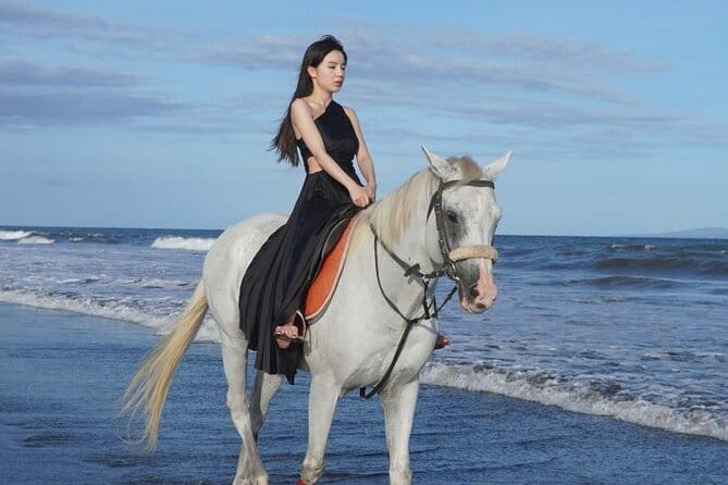 Bali Horse Riding Sanur Beach include Transport - Key highlights (what makes this one worth a look)