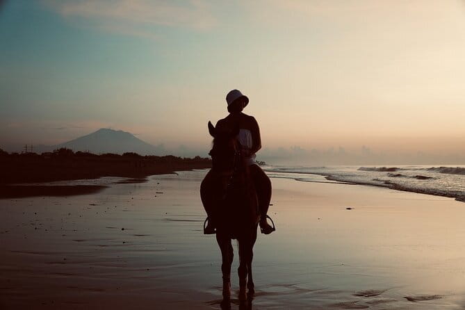 Bali Horse Riding Sanur Beach include Transport - Getting there from Seminyak: included transport that saves your time