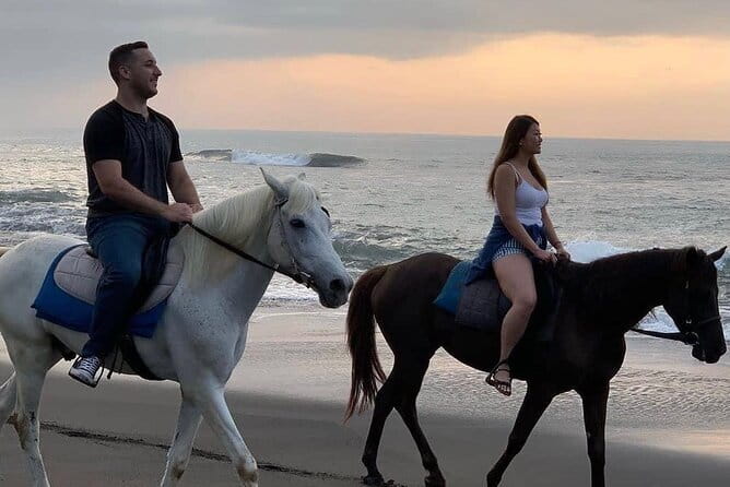 Bali Horse Riding Seminyak Beach Experience Private Transport - Why This Private Seminyak Horse Ride Feels Worth It