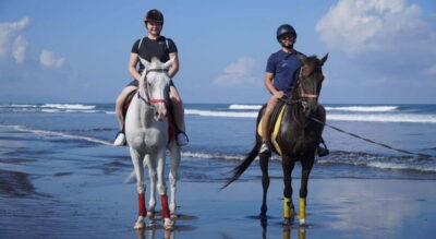 Bali: Horse Riding Trot And Canter On The Beach Experience - Price and what $43 buys in practice
