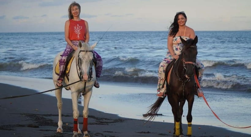 Bali: Horse Riding Trot And Canter On The Beach Experience - Who this Bali horse ride is best for