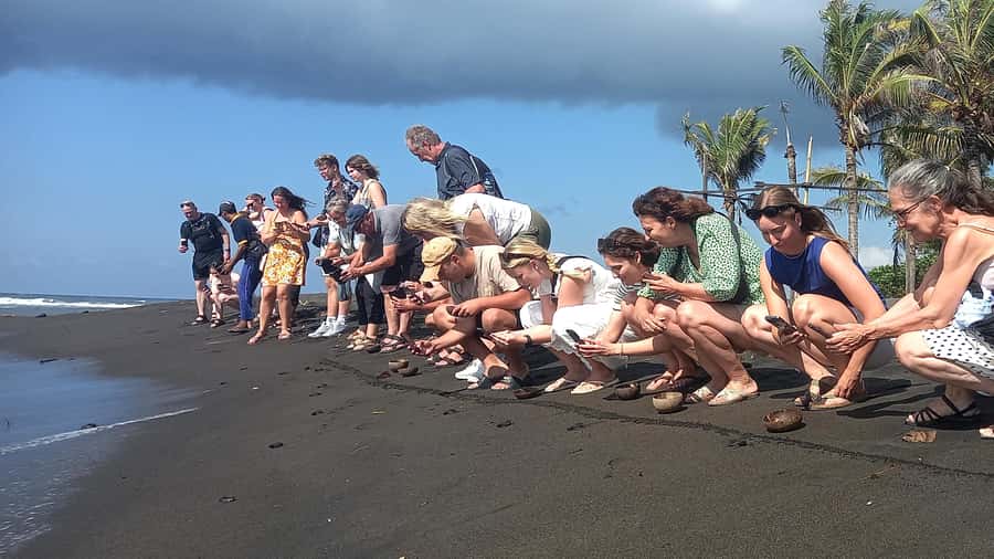 Bali: Horse Riding & Turtle Release Experience at Saba Beach - Turtle Conservation Center and Baby Sea Turtle Release