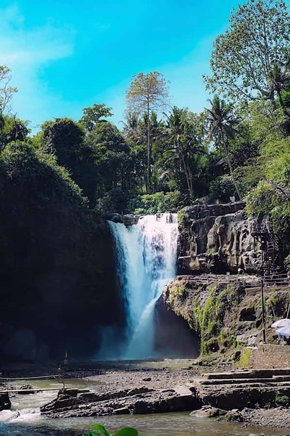 Bali: Horse Riding & Turtle Release Experience at Saba Beach - Coffee Plantation + Optional Bali Swing: A Fun End with Actual Learning