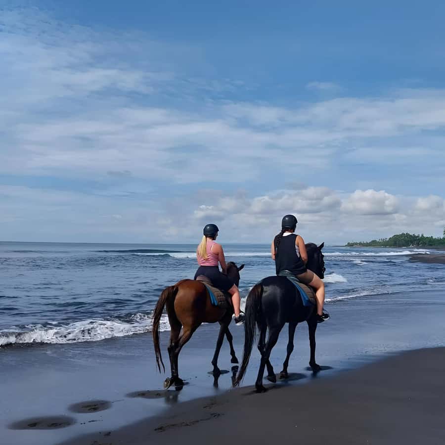 Bali: Horse Riding & Turtle Release Experience at Saba Beach - Price, Package Choice, and How the Day Adds Up