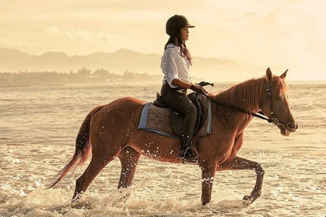 Bali Horse Riding, Waterfall, Rice Terrace, Lunch - All Inclusive - Key things I’d plan around