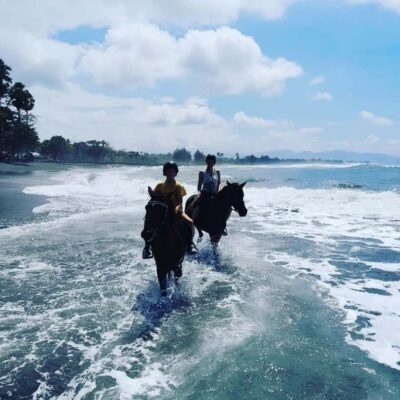 Bali: Horseback Tour Through Saba Beach and Local Temples. - Meeting, helmets, and the safety briefing that actually helps