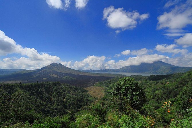 Bali Iconic Tour with Buffet Lunch and Attraction Tickets - Sacred Monkey Forest Sanctuary: macaques up close (without the chaos)