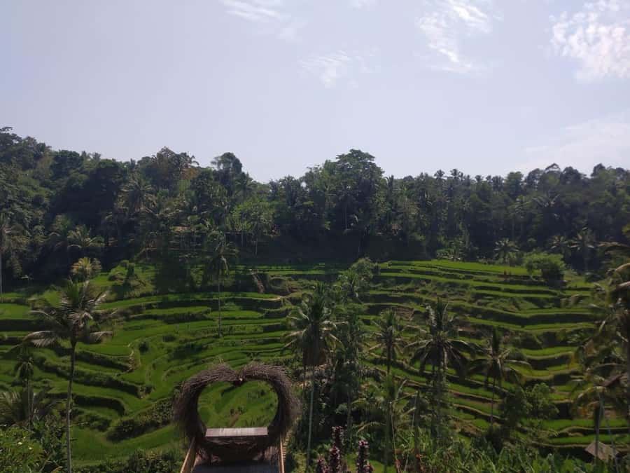 Bali in 1 Day : Iconic temples -UNESCO Sight - All inclusive - Guides, language support, and why names matter here