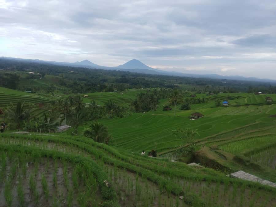 Bali in 1 Day : Iconic temples -UNESCO Sight - All inclusive - Ulun Danu Bratan Temple by Lake Beratan: cool air and camera-friendly gardens