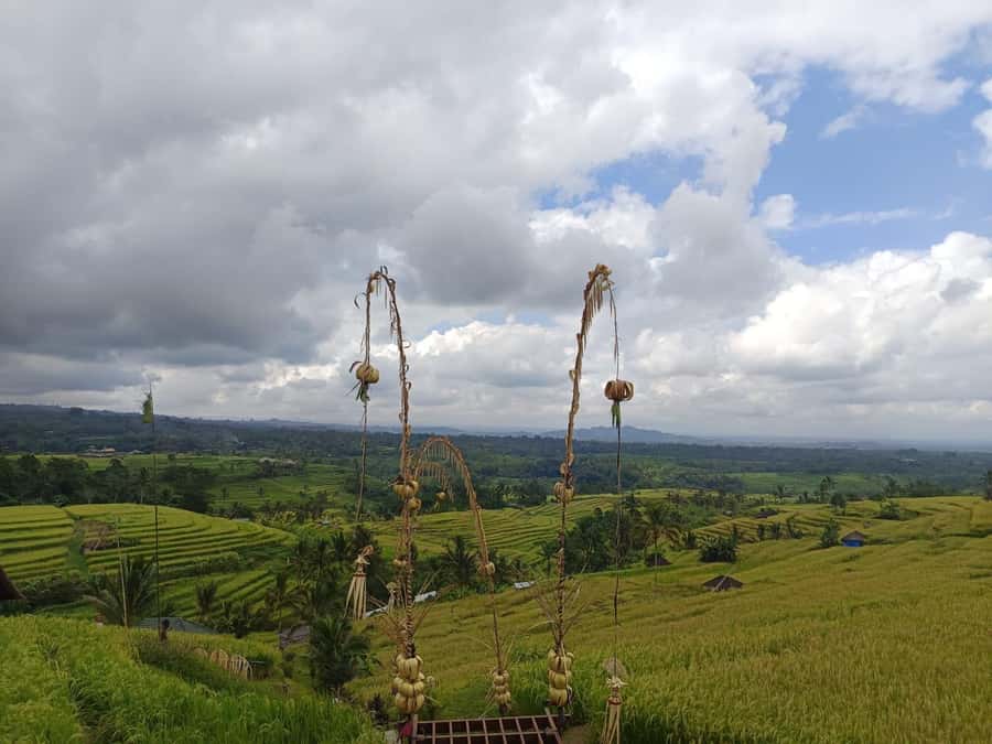 Bali in 1 Day : Iconic temples -UNESCO Sight - All inclusive - Lake Bratan break time: a pause that keeps the day from turning into a sprint
