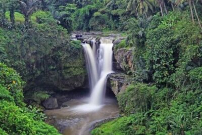 Bali Inclusive Tour: Best Waterfalls Around Ubud Area - The Value Math: Why This Costs $41 (and What You’re Getting)