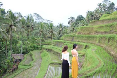 Bali Instagram Most Iconic Spots Private Tour - Morning start: how the day rhythm works after a 7:00am pickup