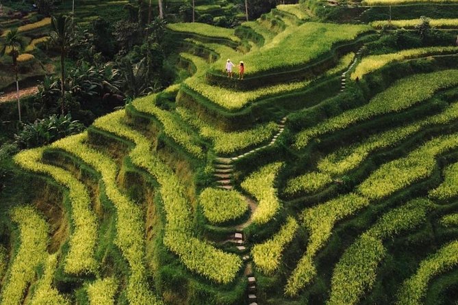 Bali Instagram Tour - All Inclusive - Before You Go: Photo Prep and Practical Tips That Matter