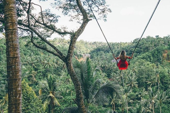 Bali Instagram Tour from Your Hotel (Private & Full-day) - Hotel Pickup and Private Comfort in Bali’s Traffic