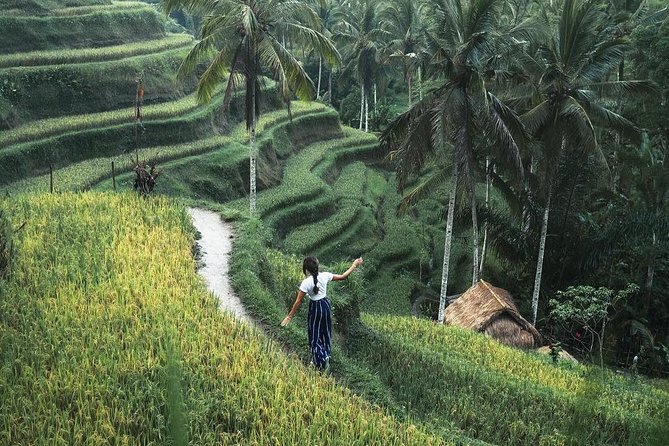 Bali Instagram Tour from Your Hotel (Private & Full-day) - Temples With Purpose: Tirta Empul and Batuan’s Ornate Carvings