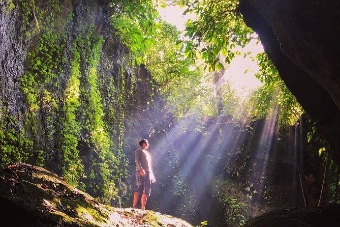 Bali Instagram Tour: Gate of Heaven, Swing and Waterfall Day Tour - Stop 5: Tegalalang Rice Terrace and the Subak irrigation system