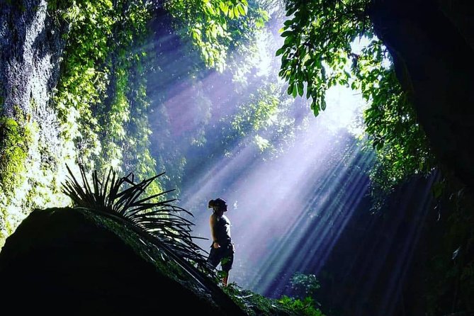 Bali Instagram Tour: Gate of Heaven, Swing and Waterfall Day Tour - Coffee tasting in the jungle: a real break from photo mode