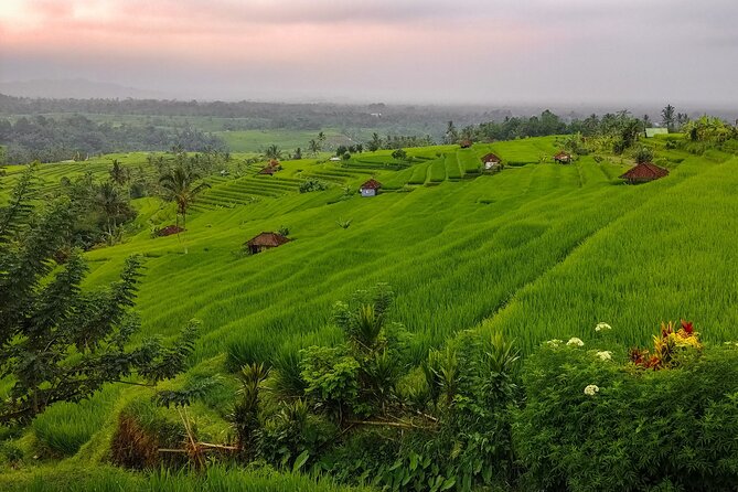 Bali Instagram Tour - Lempuyang Bali Gate of Heaven - Tirta Gangga and Karangasem terraces: beauty that isn’t just for photos