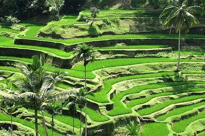Bali Instagram Tour : The Most Popular Spots In Bali - Stop 3: Tukad Cepung Waterfall Beams and the Swim Option