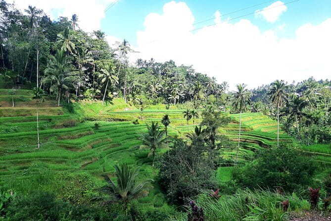 BALI INSTAGRAM TOURS; Heaven Gate, Tirta Gangga, Tukad Cepung waterfall - Best Fit: Who This East Bali Instagram Photo Route Suits