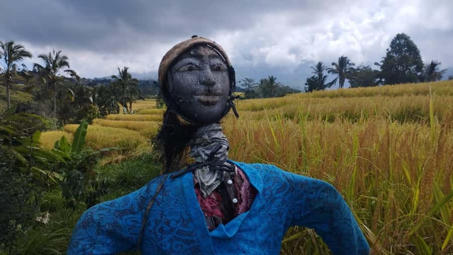 Bali: Jatiluwih Full-Day E-Bike and Trekking Tour - Key highlights at a glance
