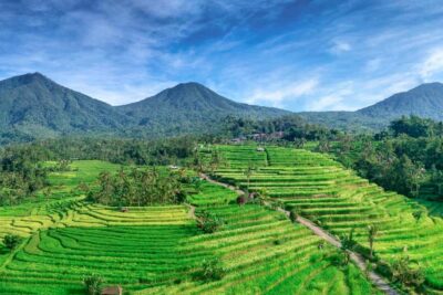 Bali: Jatiluwih Full-Day E-Bike and Trekking Tour - Starting at Pura Luhur Batukaru: the temple-to-terraces shift