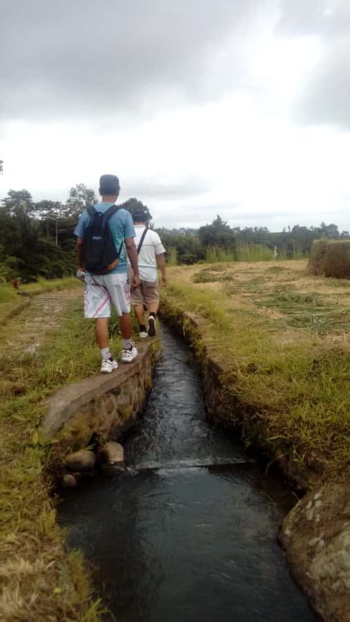 Bali: Jatiluwih Full-Day E-Bike and Trekking Tour - The 2.5-hour trek: where you go off the easy path