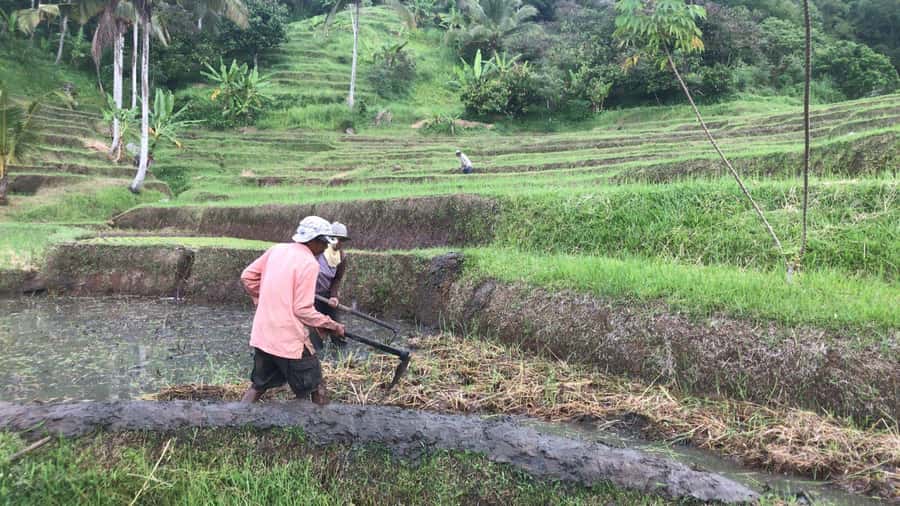Bali: Jatiluwih Full-Day E-Bike and Trekking Tour - Ending at a rural Balinese compound: the human scale payoff