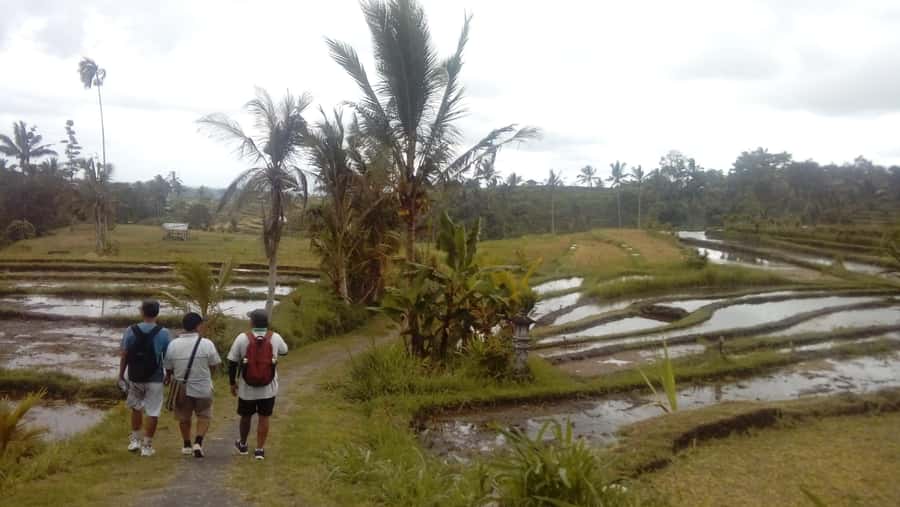 Bali: Jatiluwih Full-Day E-Bike and Trekking Tour - Medium difficulty: how to judge if this fits you
