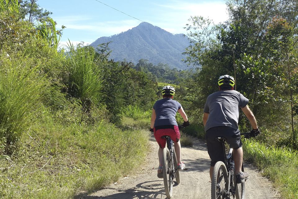 Bali: Jatiluwih Rice Terraces 1 Hour Electric Bike Tour - Stops, Photo Breaks, and What Your Guide Actually Adds