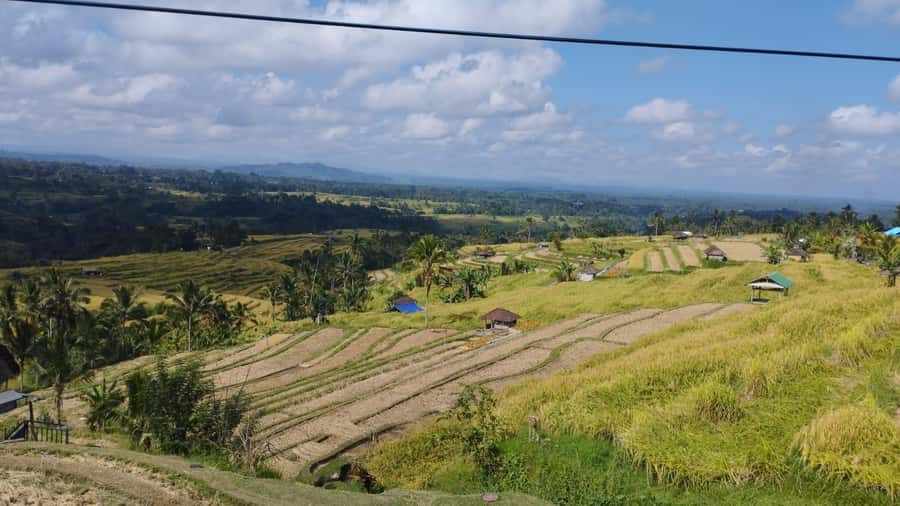 Bali: Jatiluwih Rice Terraces 1 Hour Electric Bike Tour - Electric-Bike Comfort: Helmet, Water, and Raincoat Support
