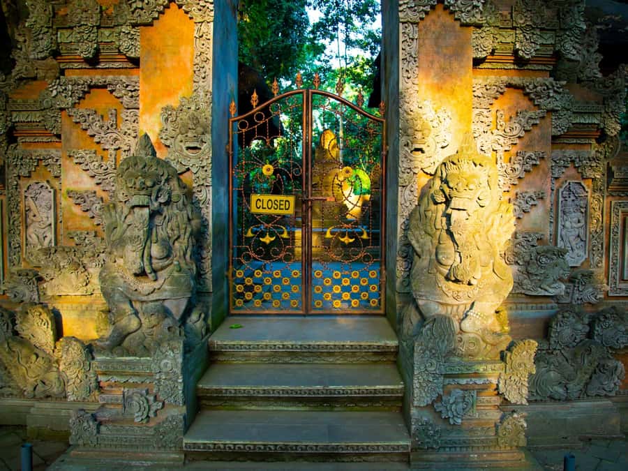 Bali: Jatiluwih Rice Terraces, Sangeh Forest & Coffee Tour - A great half-day route: rice, monkeys, coffee