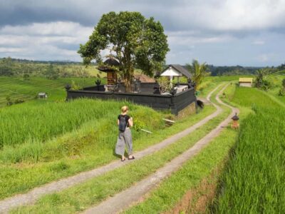 Bali: Jatiluwih Rice Terraces, Sangeh Forest & Coffee Tour - Pickup, timing, and the WhatsApp system