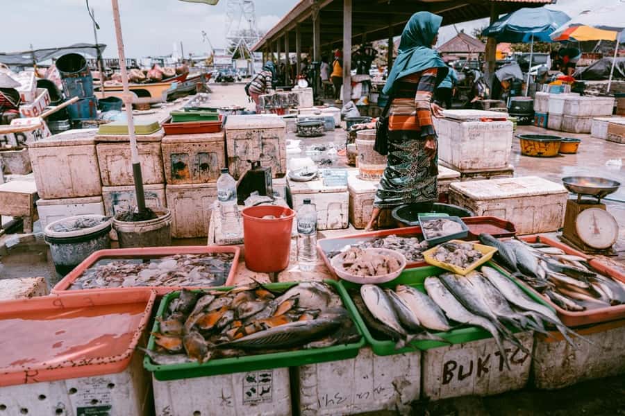 Bali: Jimbaran Seafood Market Tour with Sunset Dinner - Should You Book This Jimbaran Seafood Market Tour With Sunset Dinner?