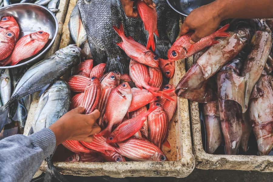 Bali: Jimbaran Seafood Market Tour with Sunset Dinner - How the Jimbaran Market Stop Actually Shapes Your Dinner