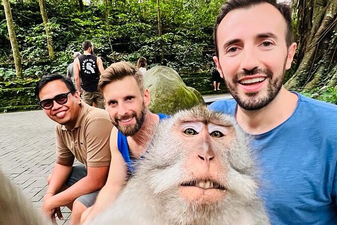 Bali Jungle Swing & Ubud Tour - Sacred Monkey Forest Sanctuary: 749 Long-Tailed Macaques Up Close