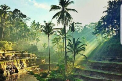 Bali Jungle Swing & Ubud Tour - Goa Gajah Temple: A UNESCO Site You Can Actually Read With Your Eyes