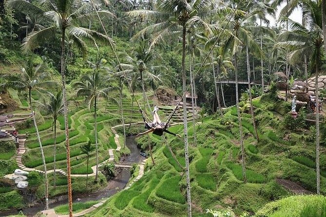 Bali Jungle Swing & Ubud Tour - Price and Value: Why This Day Works at $70 Per Person