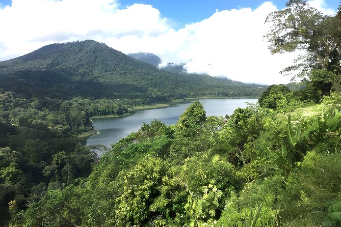 Bali Jungle Trekking in Beautiful Rainforest - The walking route: staying on track through real rainforest terrain